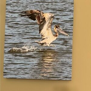 Pelican Canvas Wall Art